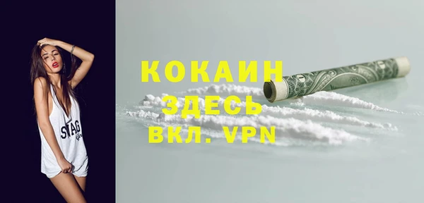 индика Алексеевка